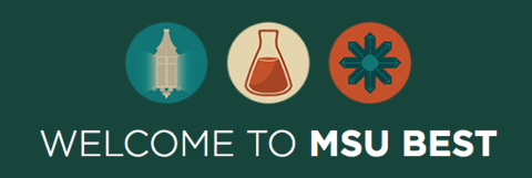 Using icons on your website - MSU best example