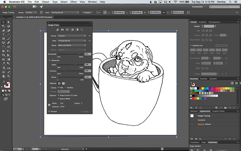 How to Turn a Photo into a Vector Line Art with