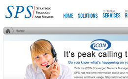 Strategic Products and Services