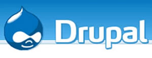 Drupal Consultants