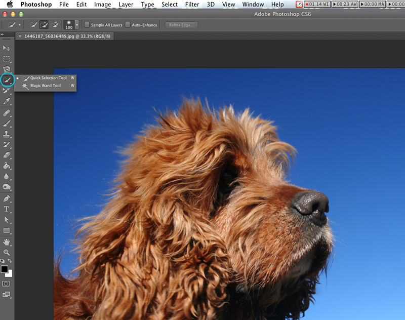 Photoshop Tutorial: How to Remove the Background on a Detailed Image - Web  Ascender